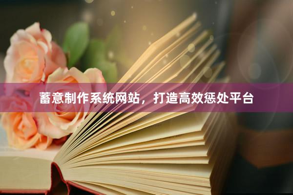 蓄意制作系统网站，打造高效惩处平台