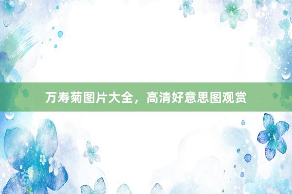 万寿菊图片大全，高清好意思图观赏